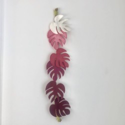 Liane Monstera Rose